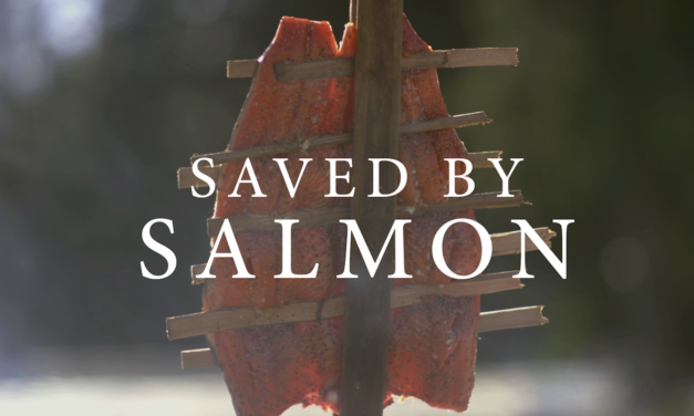 Saved By Salmon