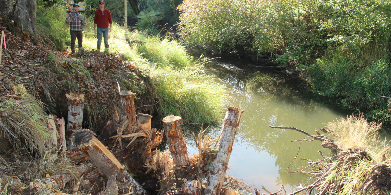 Squaxin Island Tribe repairs Skookum Creek for salmon