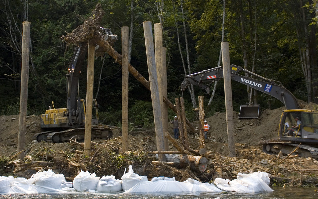 Treaty Tribes Leverage Almost $2 Million to Restore Salmon Habitat and Create Jobs