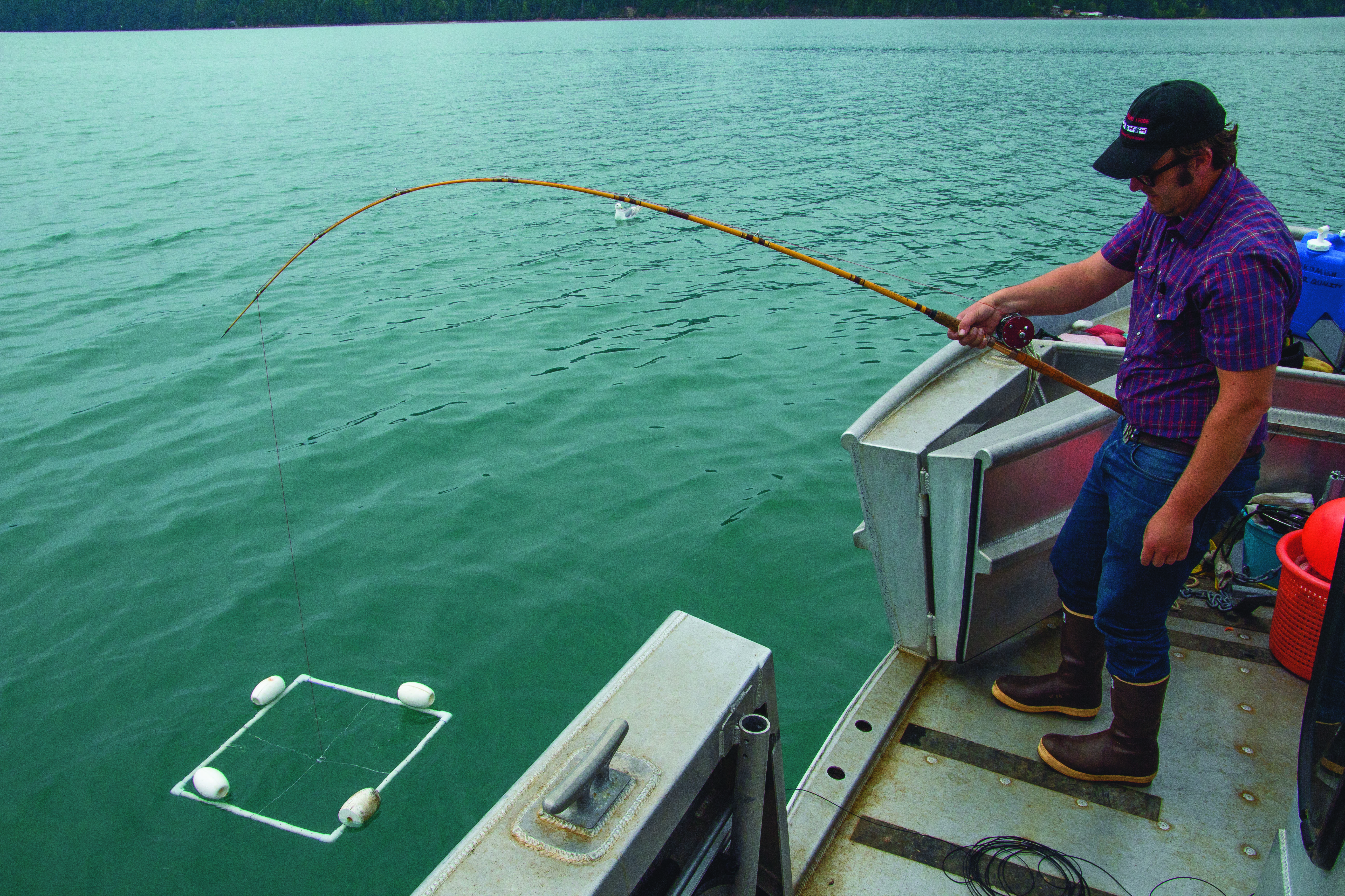 Skokomish Tribe investigates impacts on shellfish from blue-hued Hood Canal