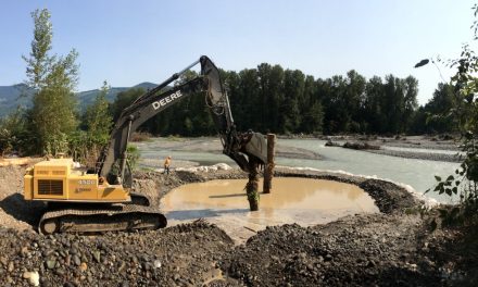 Nooksack Tribe Restores Channel for Spawning Chinook