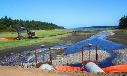 Port Gamble S’Klallam Tribe Habitat Survey Leads to Major Fish Passage Restoration