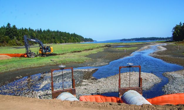 Port Gamble S’Klallam Tribe Habitat Survey Leads to Major Fish Passage Restoration