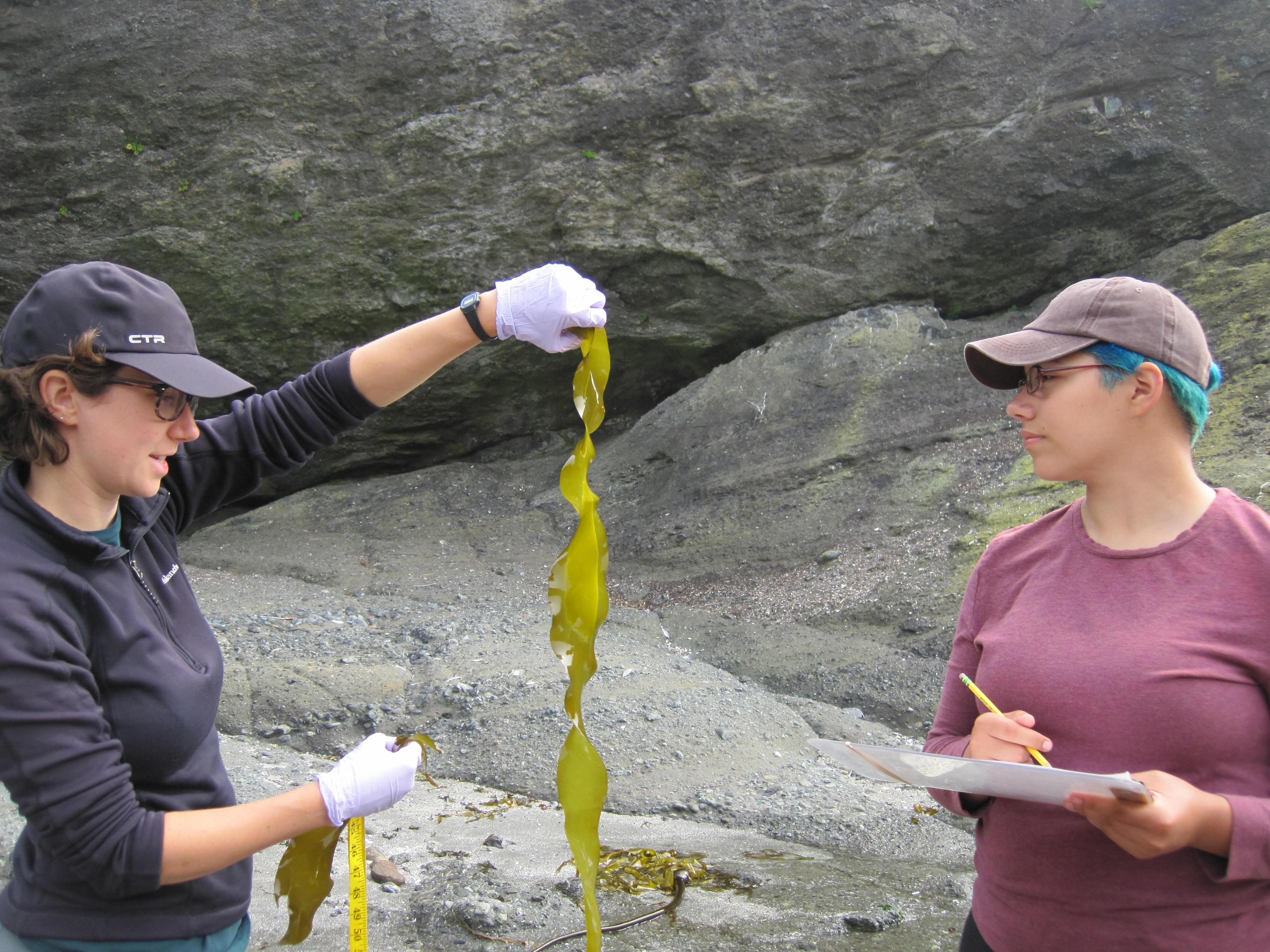 Makah Tribe Interns Gain Real World Science Experience