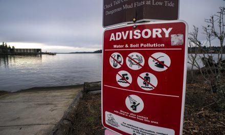 We Must Demand a Healthy Puget Sound