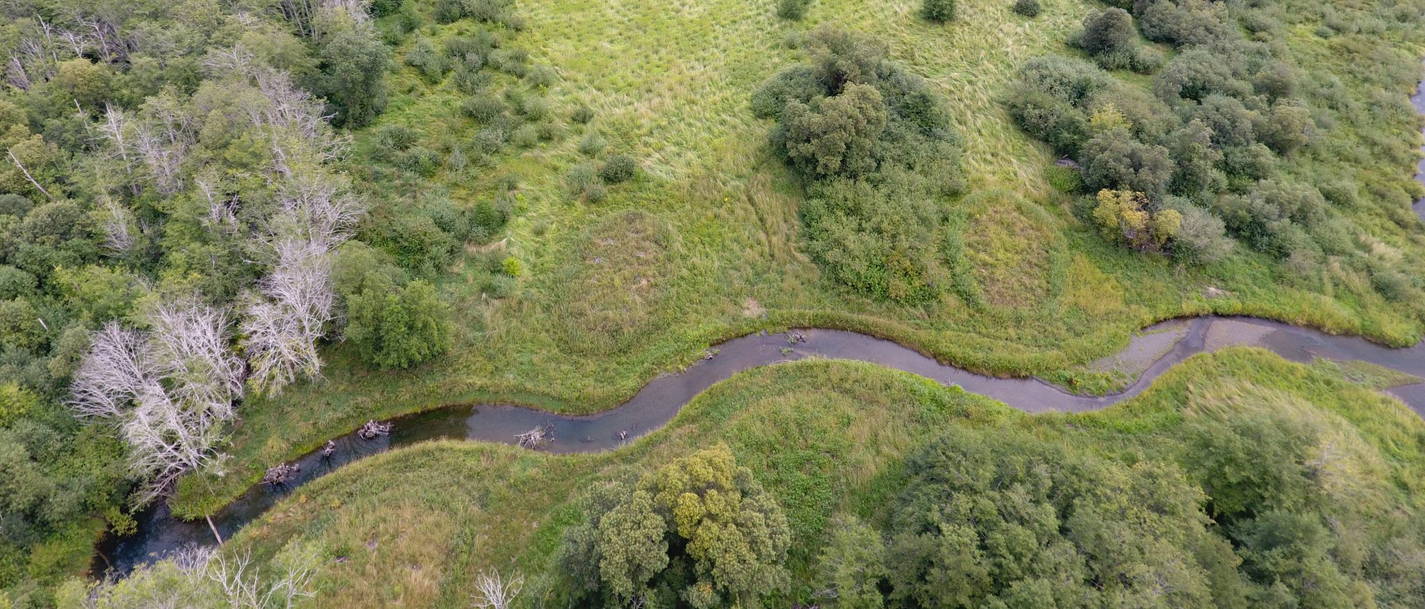 Weaver Creek Relocation Supports Salmon Habitat in Skokomish Valley ...