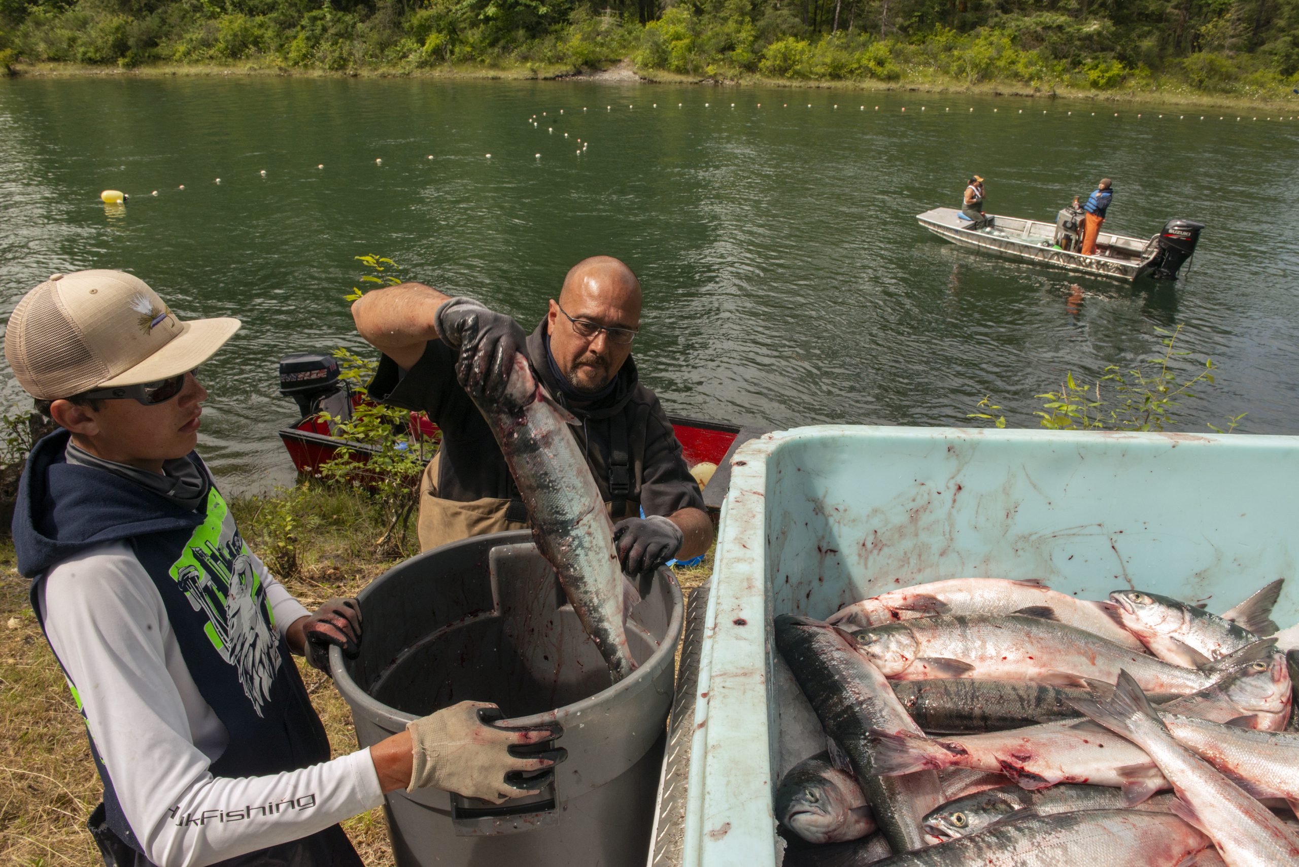 Upper Skagit Tribe Opens Brief Sockeye Fishery - Northwest Treaty