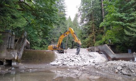 Long-Awaited Dam Removals Open Up Salmon Habitat