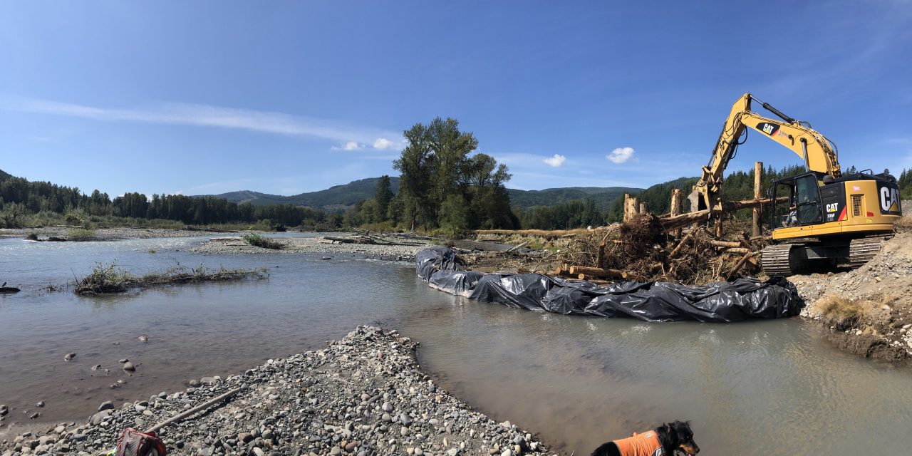 Major Salmon Habitat Restoration Completed in Nooksack River