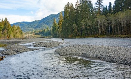 Tribal Watersheds Report Shows Little Improvement, but Hope Remains