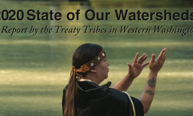 2020 State of Our Watersheds: More Restoration Projects, Less Shoreline Armoring