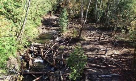 Little River Restoration Complete, with Support of Private Landowners