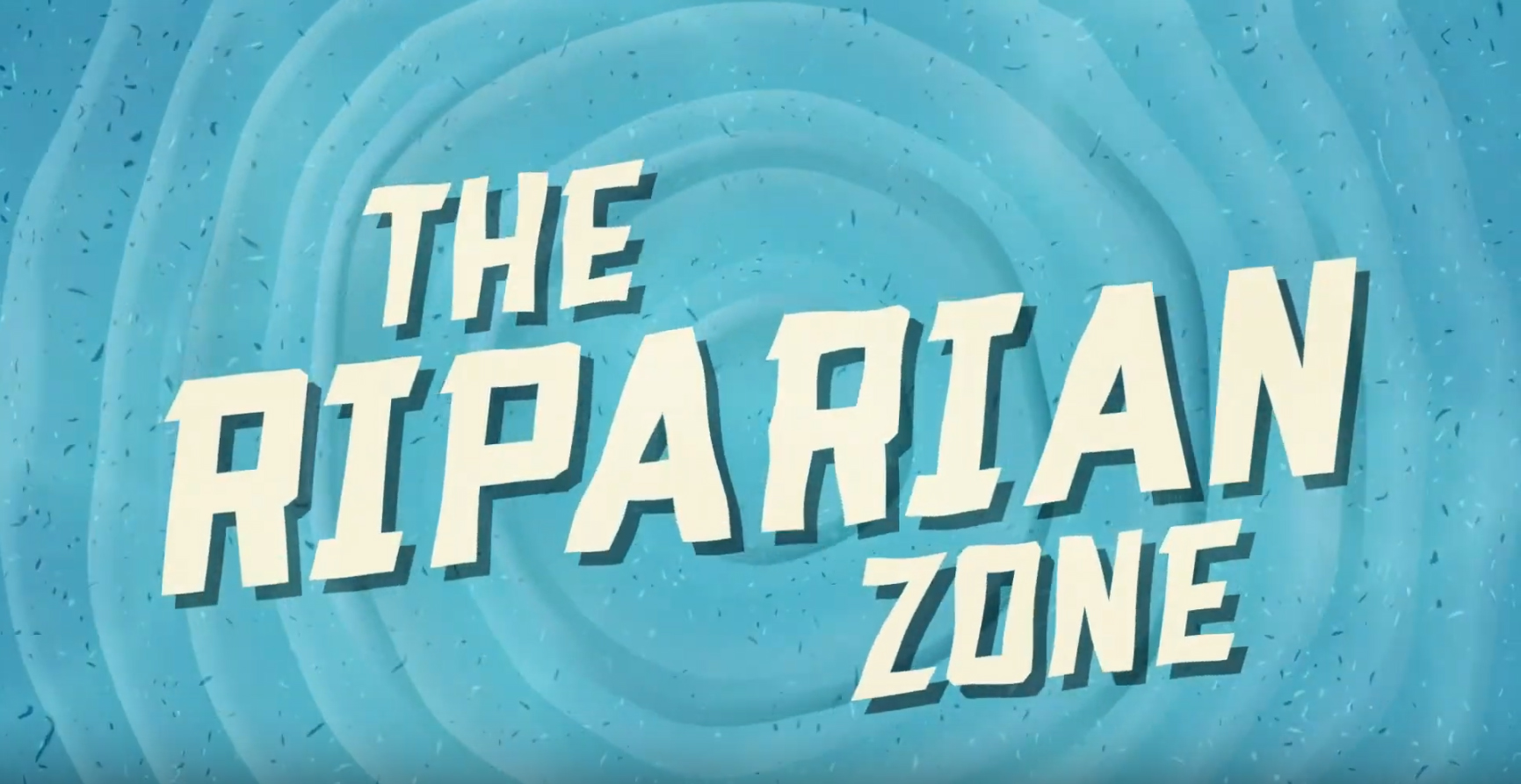 Welcome to the Riparian Zone