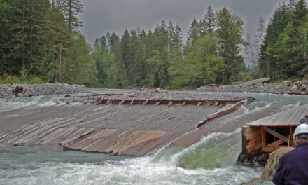 It’s Time to Get Rid of the Fish-Killing Electron Dam