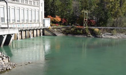 What are the true costs of the Skagit River hydroelectric dams?
