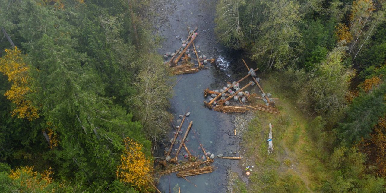 Logjams are Key to Salmon Habitat Restoration Northwest Treaty Tribes