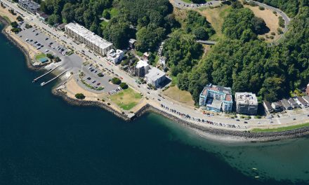 Holding Habitat Impacts Accountable for Salmon Decline