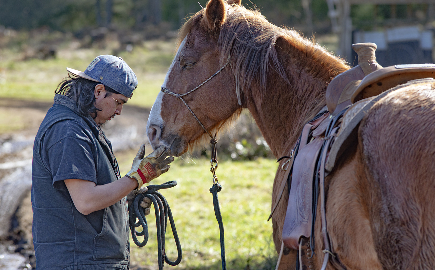 Restoring the Cultural Importance and Healing of Horses