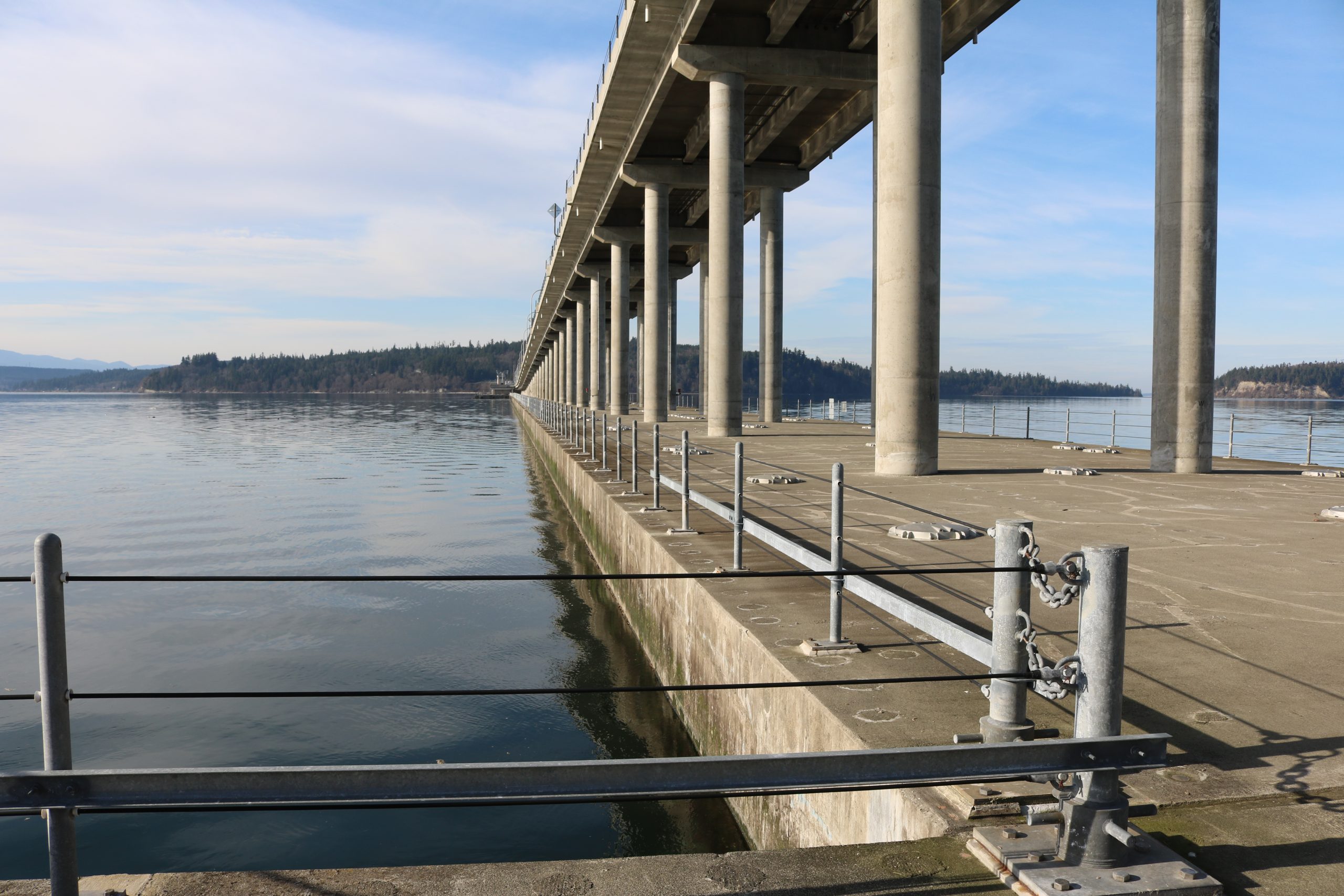 Why Aren t Steelhead Making It Past The Hood Canal Bridge Northwest 