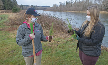 Quileute Tribe’s Watershed Plan Helps Guide Partnership that Benefits Salmon in Quillayute River