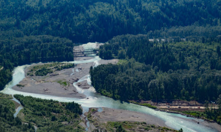 Being Frank: Adjudication Will Help Untangle Nooksack River Water Rights