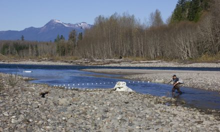 Cold water refuges could mitigate some impacts from climate change