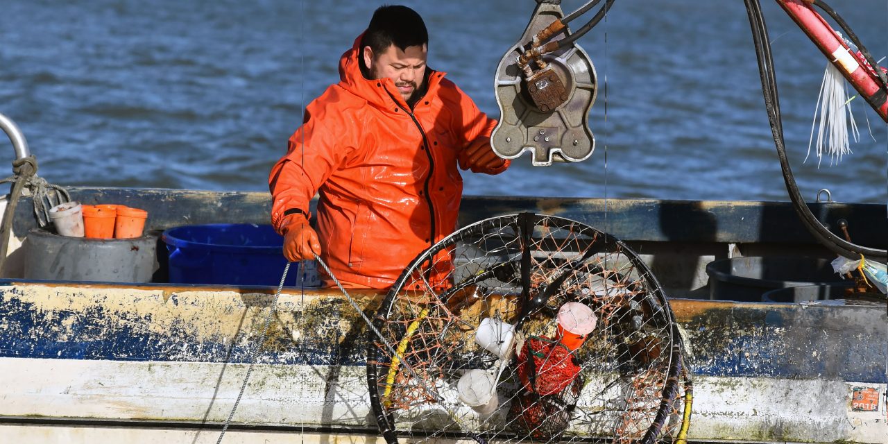In crab fishery, there’s more risk than meets the eye