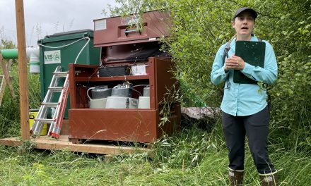 Nisqually pilot project may protect streams — and fish