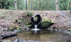 a fish barrier culvert at Clear Creek
