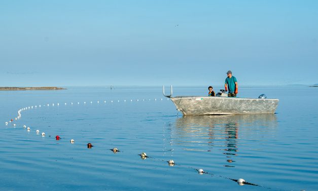 Being Frank: Water quality protection is headed in the right direction