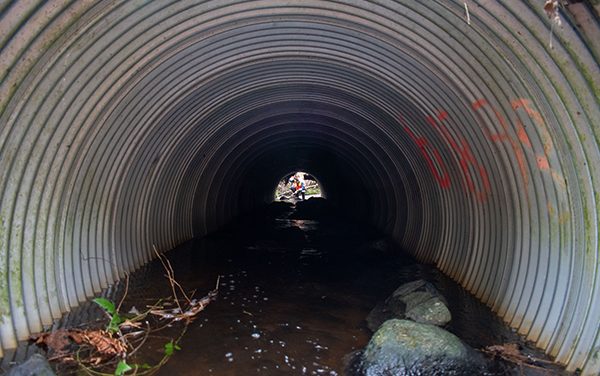 Assessing culverts for salmon restoration potential