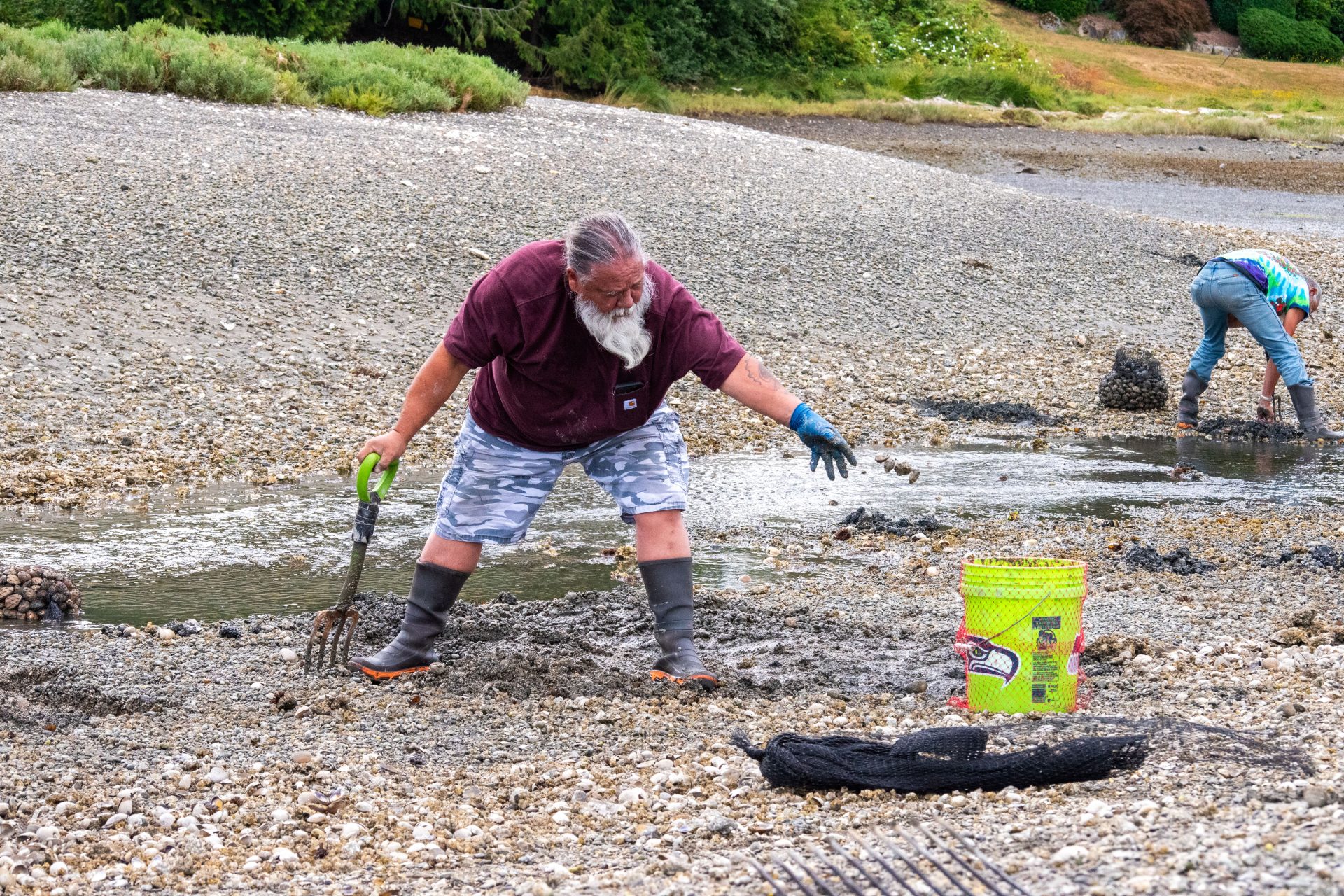 Suquamish tribal elders hold clam harvest after hiatus