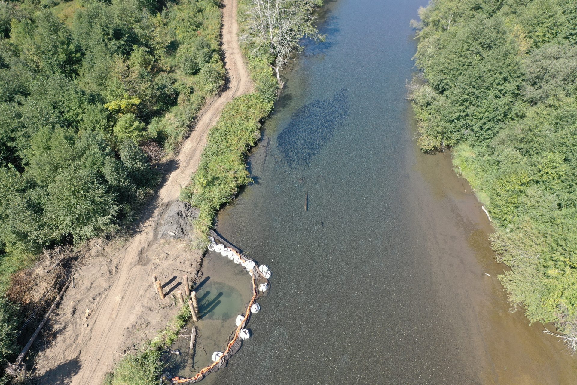 New salmon habitat for the lower Skokomish River