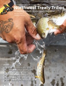 On the cover: Juvenile steelheadbeing raised at the Lower Elwha Klallam
Tribe’s House of Salmon Hatchery
are poured back into an outdoor
raceway after being weighed for an
exercise during a coldwater fish culture
class in June. See story on page
15. Tiffany Royal