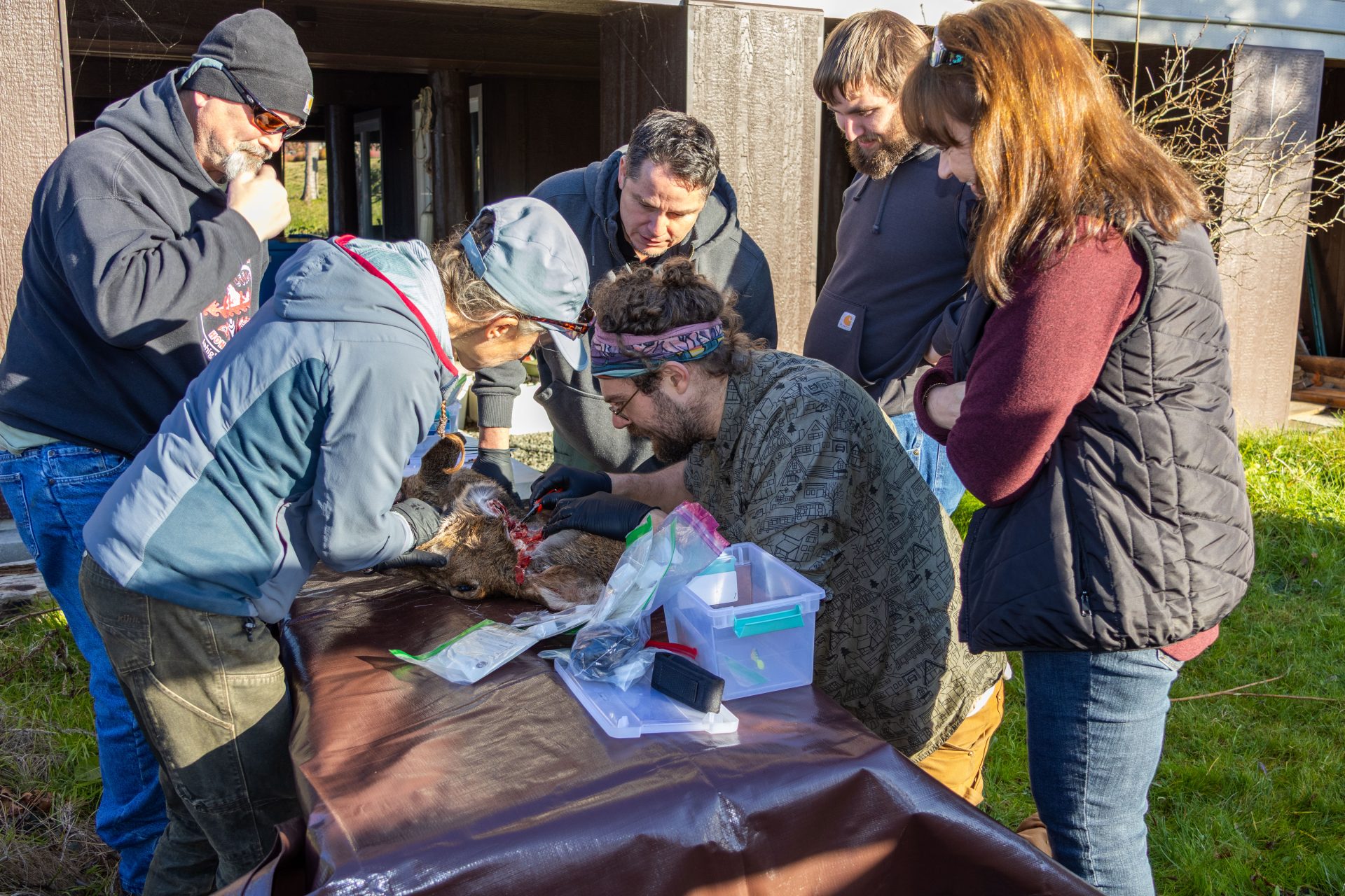 Wildlife staff prepare for chronic wasting disease