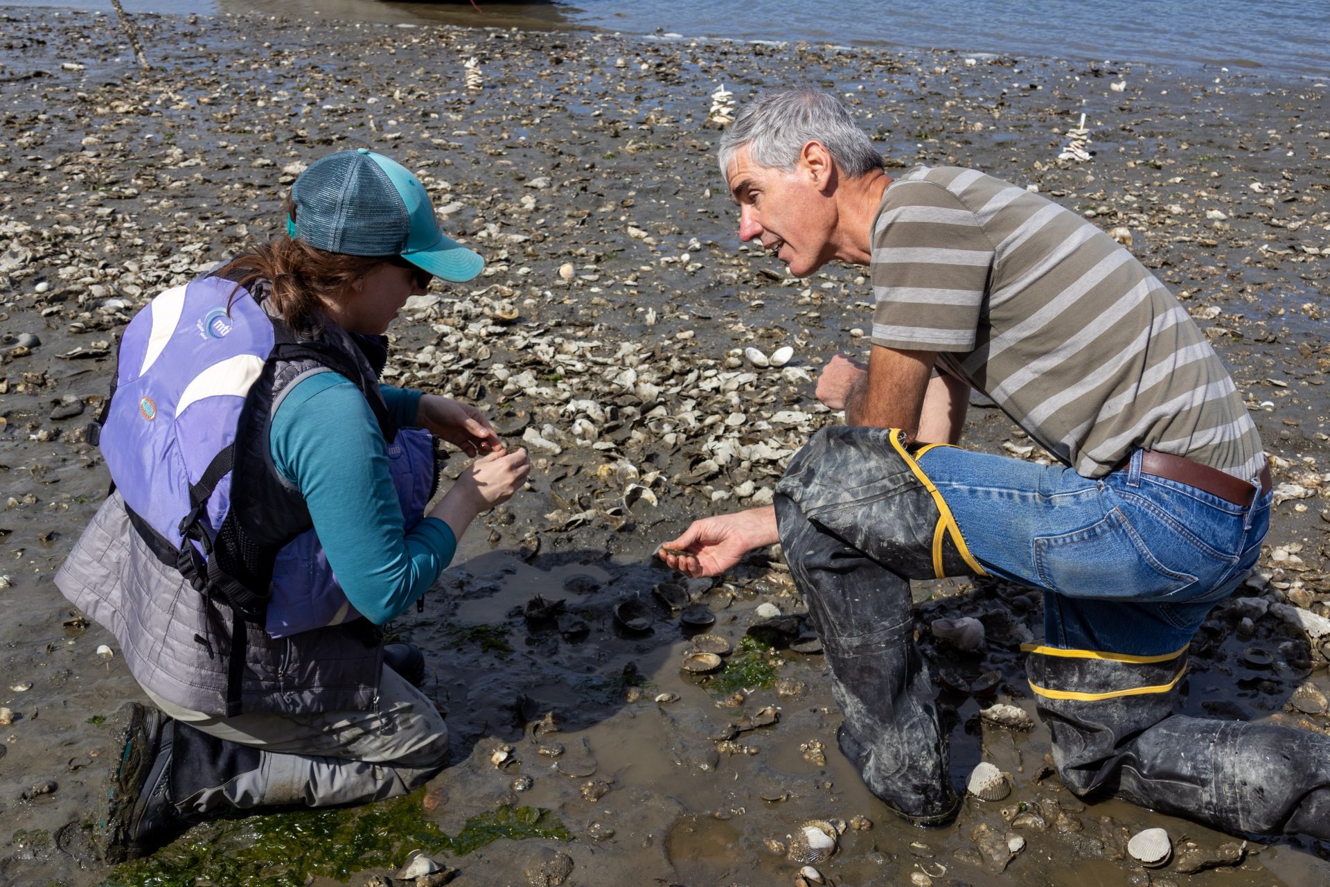 Squaxin Island Tribe, partners team for Olympia oyster restoration